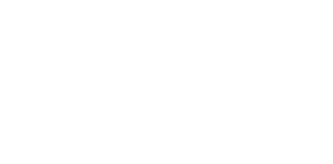 logo_custom-white
